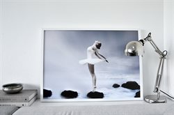 Balletplakat hvid tutu balletdanser
